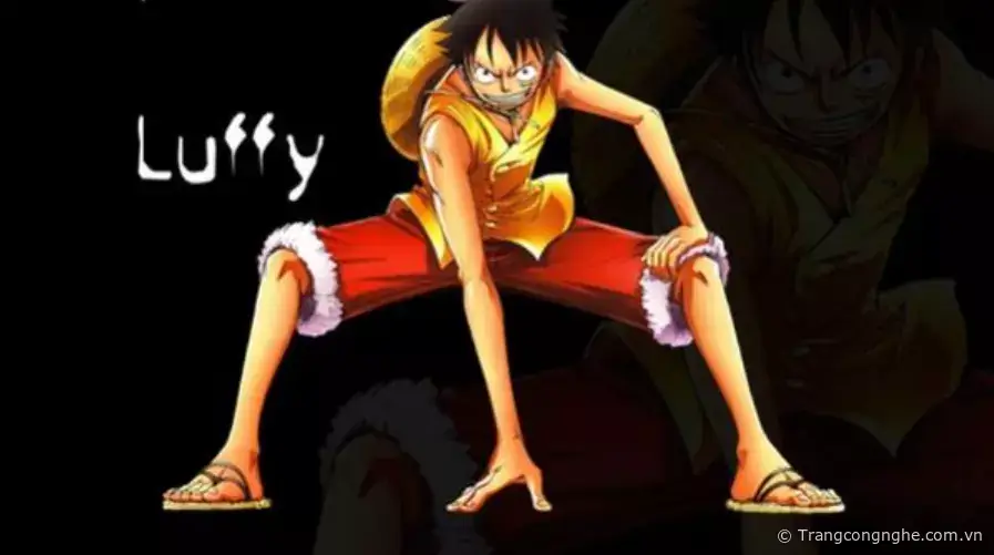 Hình ảnh Luffy và những người bạn trong One Piece | Hình ảnh, Anime, One  piece
