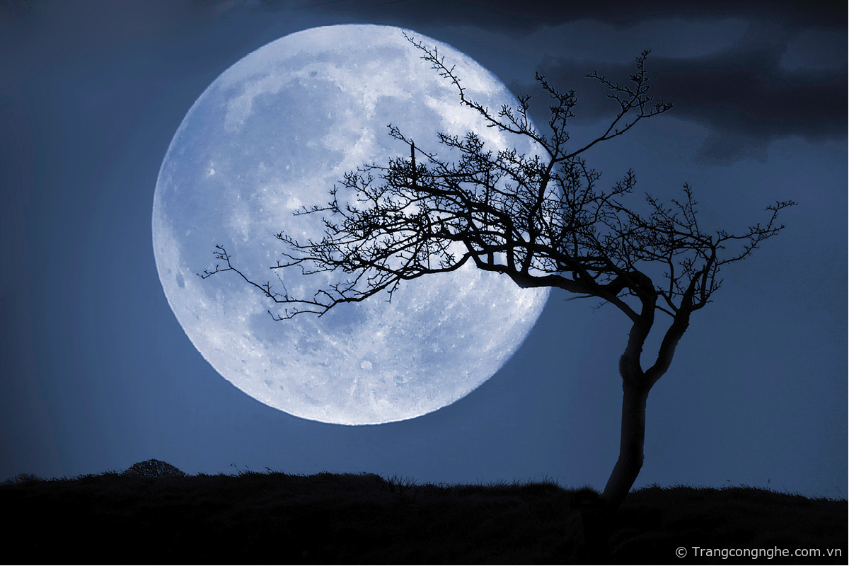 Mặt trăng Trung thu tròn nhất 100 năm qua: Nhiều người chụp trăng tròn  tuyệt đẹp