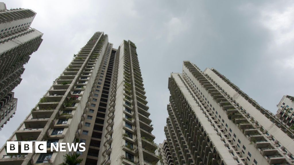 Forest City: Từ thành phố ma đến điểm nóng lừa đảo