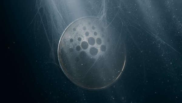 Lý do các nhà đầu tư lớn bán ADA của Cardano